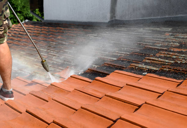 Jacksboro, TN Pressure Washing Pros