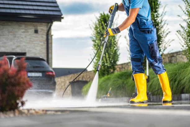 Best Local Pressure Washing Services  in Jacksboro, TN