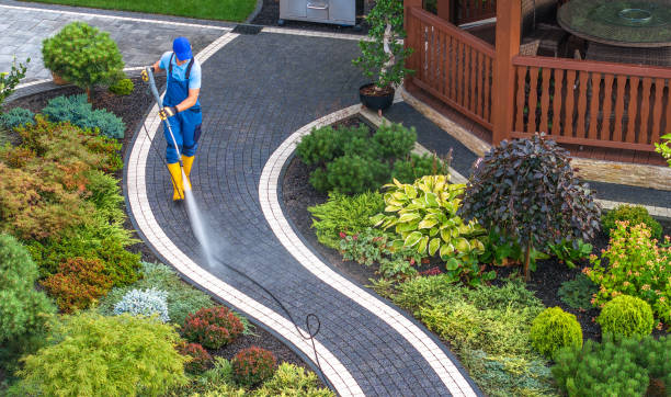 Best Commercial Building Pressure Washing  in Jacksboro, TN