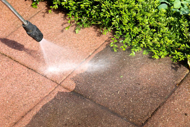 Best Pressure Washing Near Me  in Jacksboro, TN
