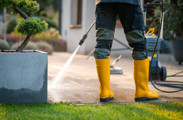 Best Power Washing Near Me  in Jacksboro, TN